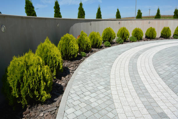 Best Residential Paver Driveway  in Allendale, CA